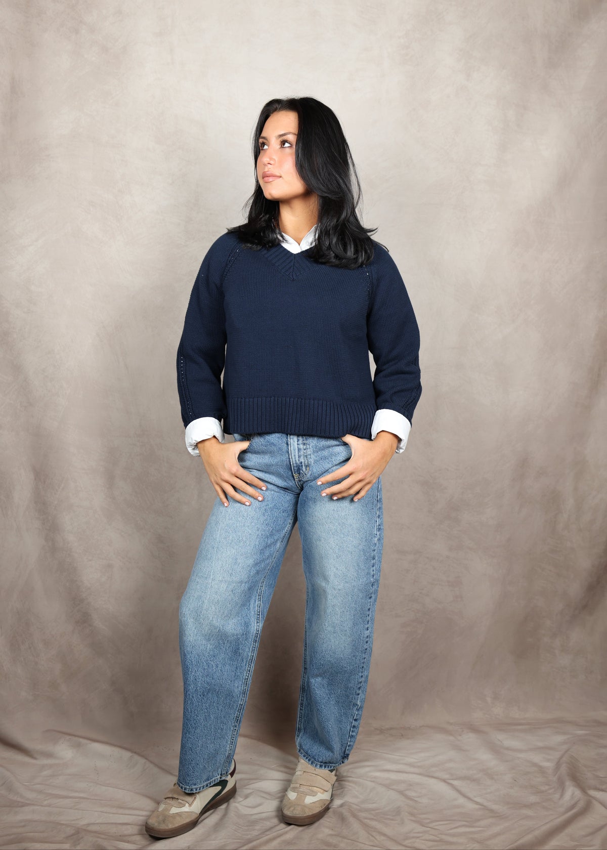 ZSUPPLY Stratton V Neck Sweater