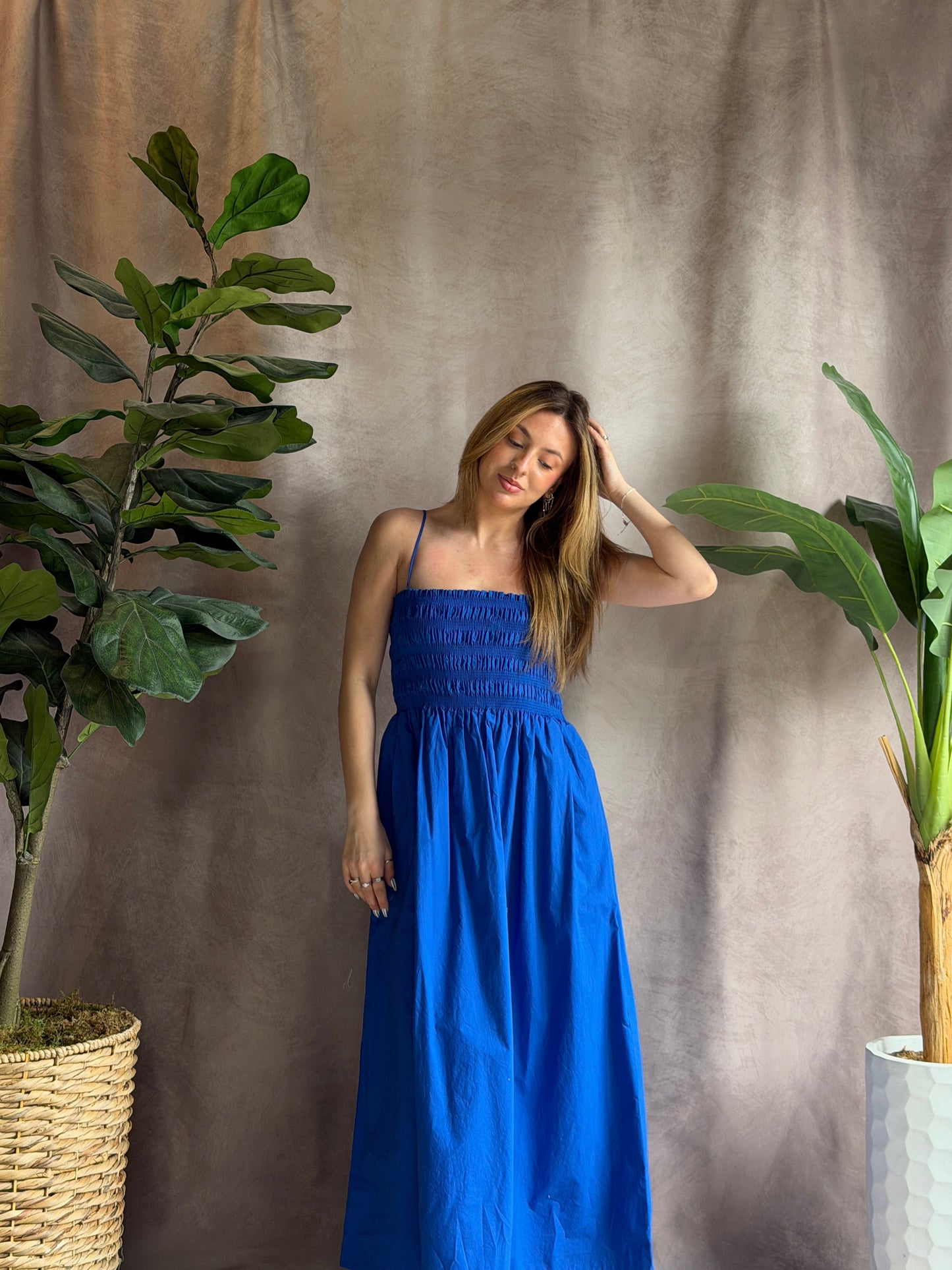 ZSUPPLY Cornelia Poplin Midi Dress