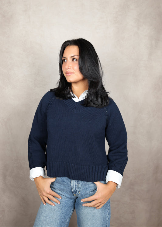 ZSUPPLY Stratton V Neck Sweater