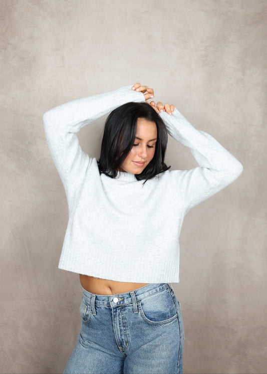 ZSUPPLY Stand In Sweater