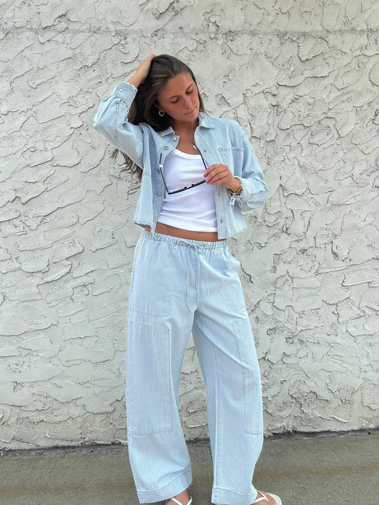ZSUPPLY The Carpenter Pant