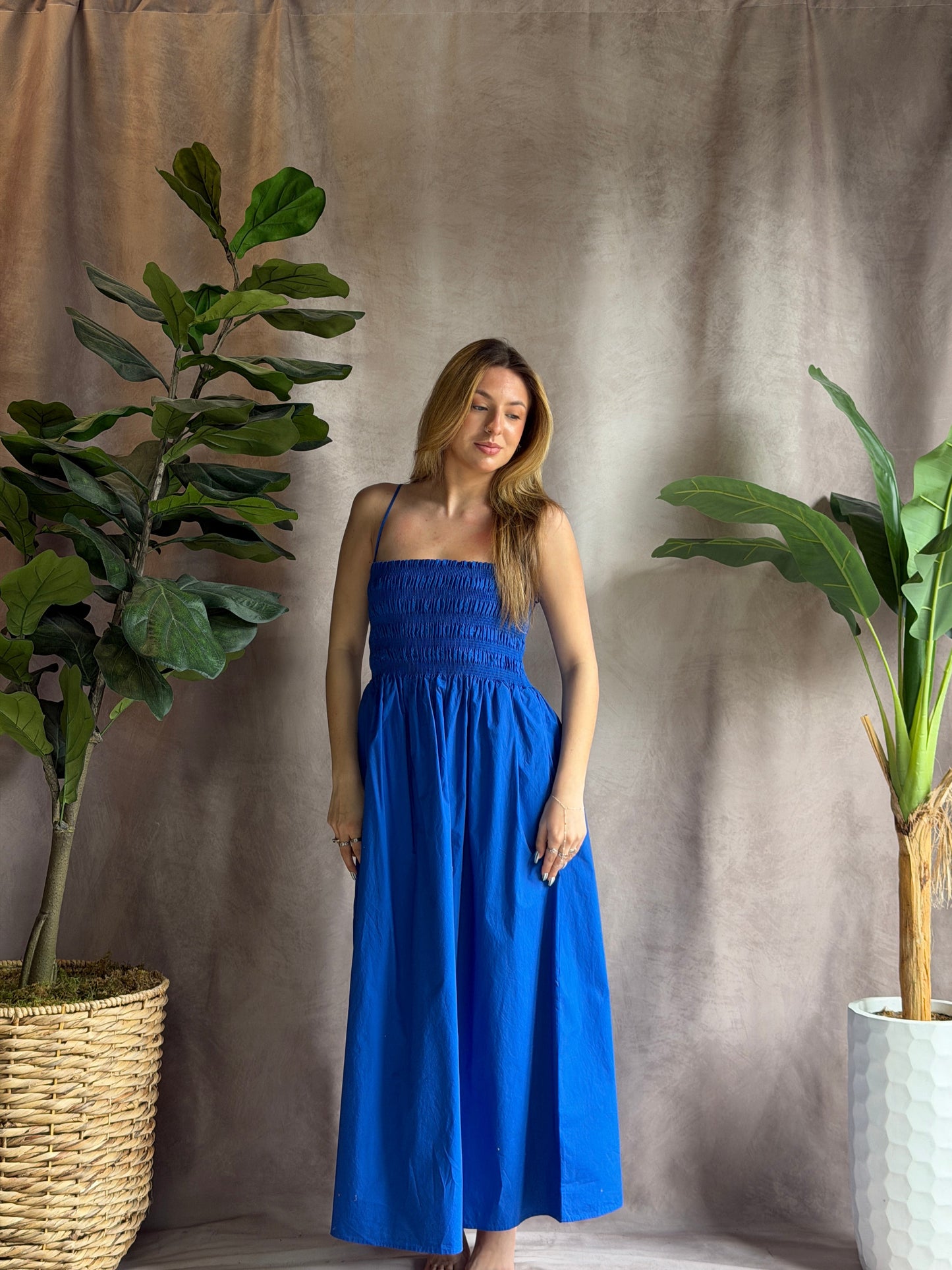 ZSUPPLY Cornelia Poplin Midi Dress