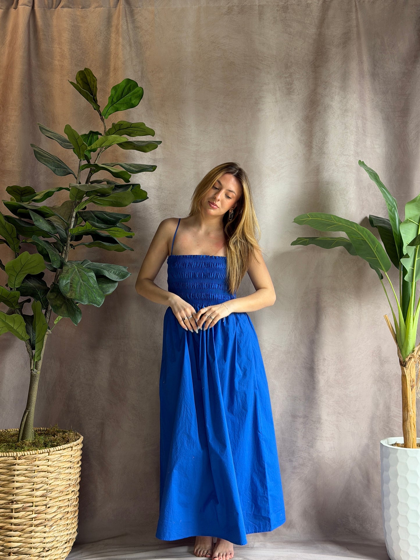 ZSUPPLY Cornelia Poplin Midi Dress