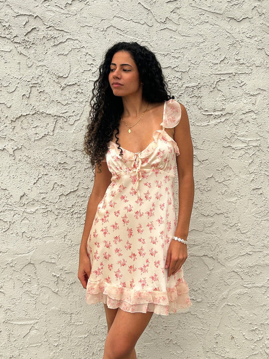Rosewater Romance Mini Dress