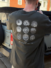 Load image into Gallery viewer, KATIN Speciman Box Fit Tee
