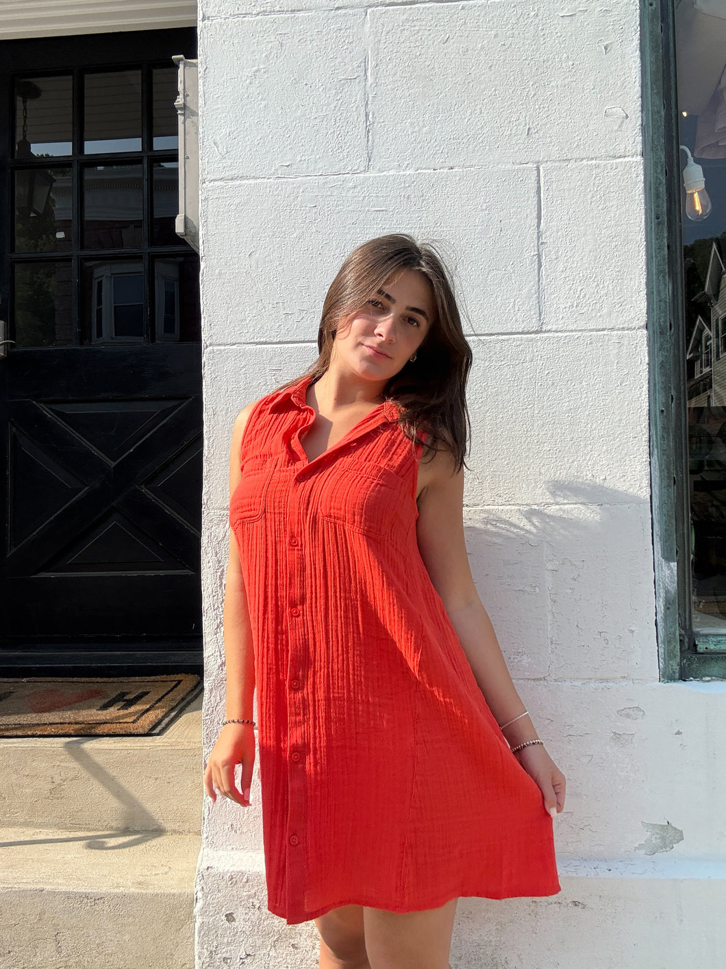 ZSUPPLY New light Mini Dress