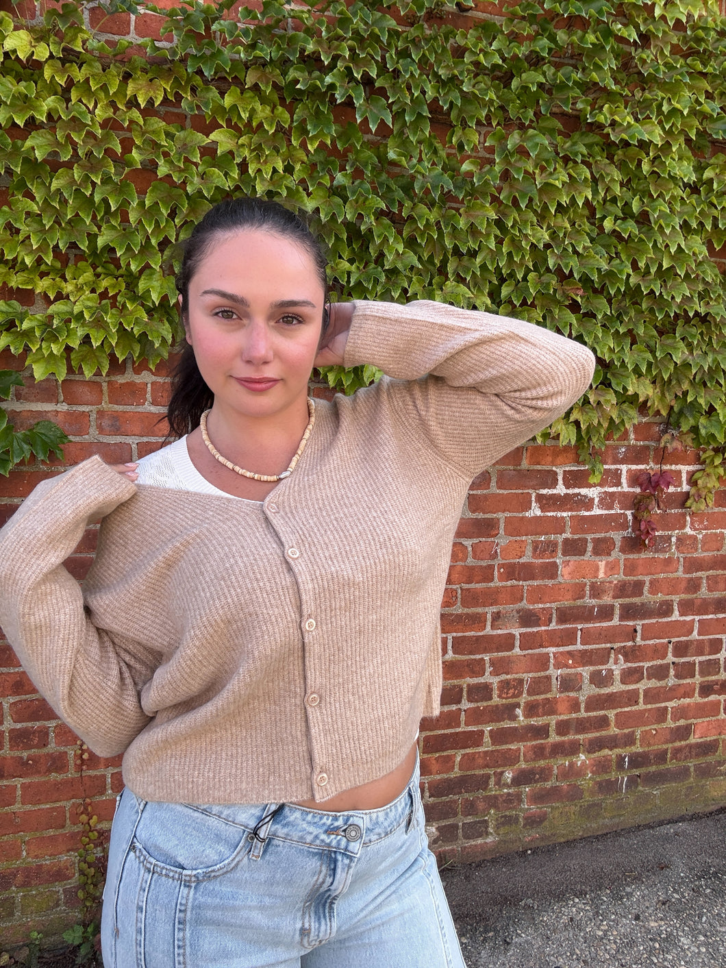 ZSUPPLY Emile Cardigan