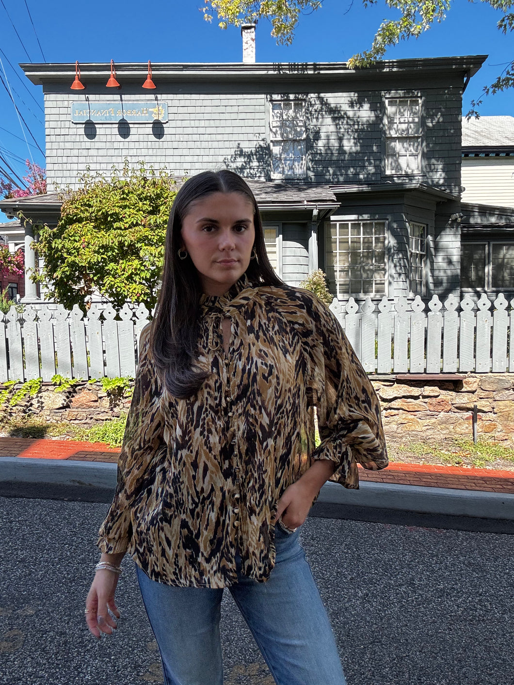 Dark Horizon Blouse