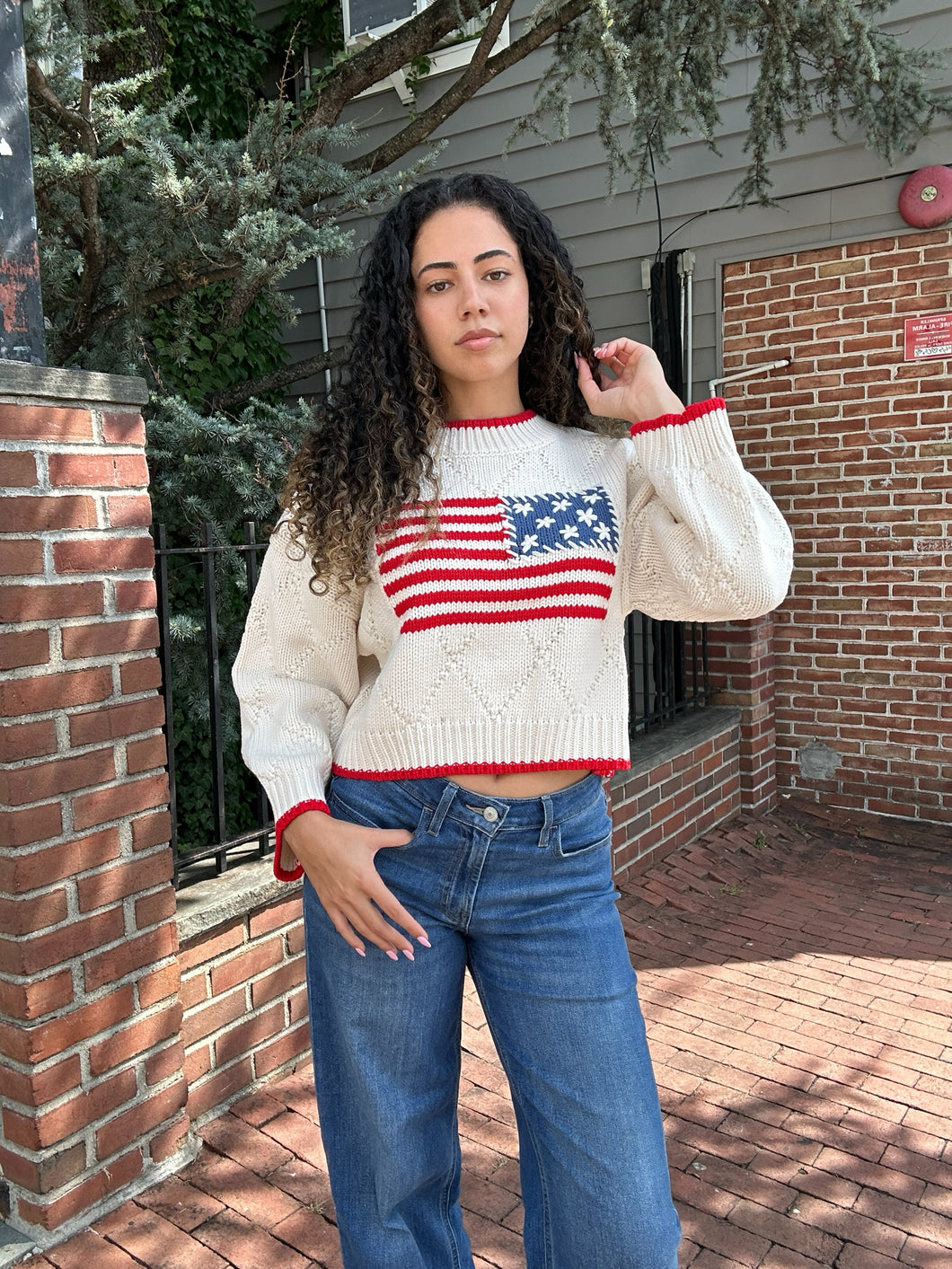 Patriot Knit Pullover